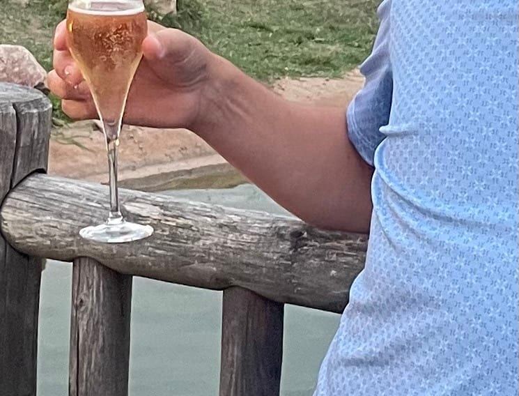Safi - Site de rencontre gay à Ziegelbrücke Profil de Safi, 27 ans, Site de rencontre gay à Ziegelbrücke (Glaris)